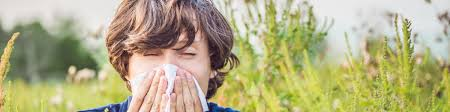 How to Keep Your Home Allergen-Free